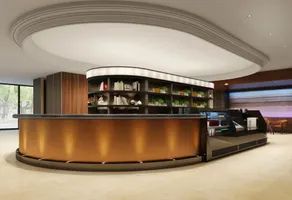 Hyatt Regency Tokyo Bay - Réception
