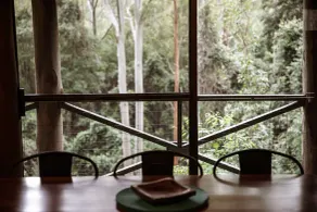 Carawirry Forest Escape - Quarto