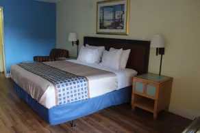 Tampa Inn Near Busch Gardens - Chambre