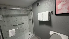 Hawthorn by Wyndham Dallas Love Field Airport - Bagno