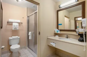 Hampton Inn by Hilton Springfield - Salle de bain
