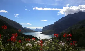 Agriturismo Ai Castioni - Utsikt från rummet