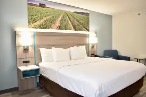 Clarion Pointe Vidalia - Lyons West - Room