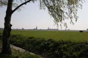 Hotelhuisjes Medemblik - Ausblick vom Zimmer