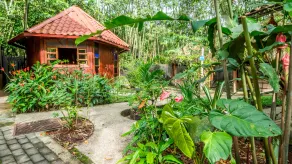 El Jardin Relax - Room