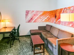 Comfort Suites Ardmore - Rom