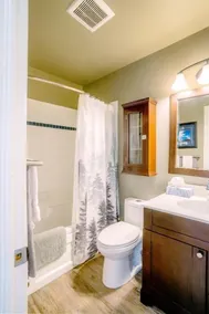 Hillside BLUE MTN Family Loft @ North Creek Resort - Badrum
