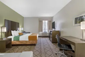 Best Western Plus North Houston Inn & Suites - Chambre