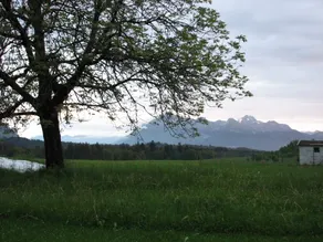 Beim Bicher - Vistas desde la habitación