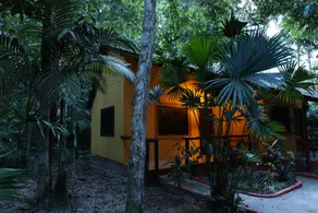 Amazon Ecopark Jungle Lodge - Udsigt fra værelset