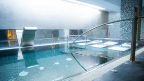 Hotel Veracruz Plaza & Spa - Pool