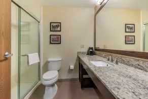 Comfort Suites Mason near Kings Island - Salle de bain
