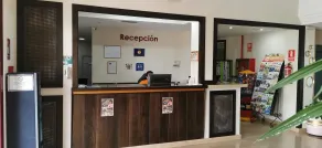 Apartamentos Manilva Green - Réception
