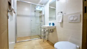 Apartments Bracanovic - Bathroom