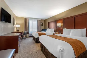 Comfort Inn & Suites Muncie Near University - Chambre