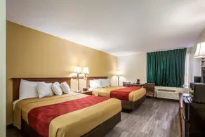 Econo Lodge Inn & Suites Fairview Heights St Louis - Chambre