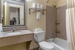 Quality Inn & Suites - Greensboro-High Point - Salle de bain