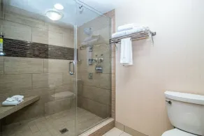 Holiday Inn Express Spokane-Downtown by IHG - Salle de bain