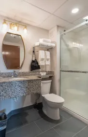 The Clocktower Hotel Latham - North Albany, an Ascend Collection Hotel - Salle de bain
