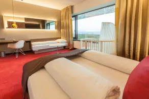 Airport Hotel Basel - Convenient & Friendly - Room