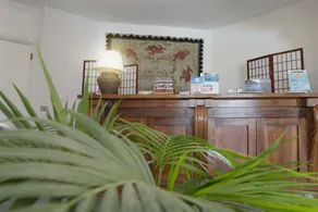 Le Bouganville Rooms Suites and Apartments - Reception