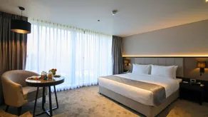 Essentia Premier Hotel Pune Wakad - Room