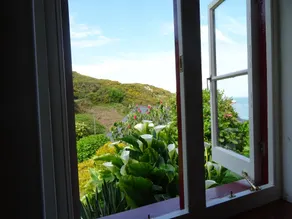 Undercliff Guest House - View from room