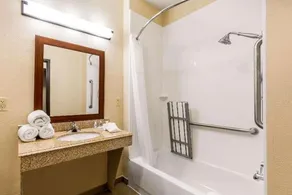 Comfort Suites Humble Bush Intercontinental Airport - Badezimmer