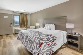 Red Roof Inn Staunton - Chambre