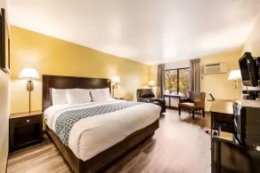 Econo Lodge Mayo Clinic Area - Chambre