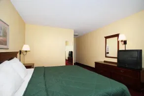 Quality Inn Mullins - Marion - Chambre