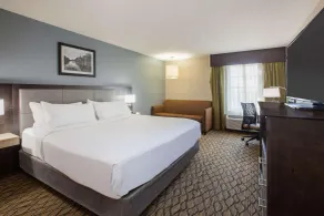 Wingate by Wyndham Roseville/Detroit - Chambre