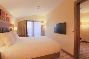 Hilton Garden Inn Eskisehir - View from room