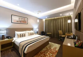 The Fern Residency Sarnath - Room