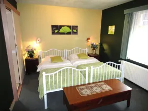 Hotel Cobut - Camera