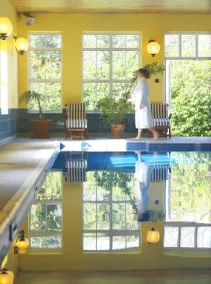 The Dunraven, Adare - Pool
