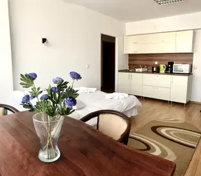 ApartHotel Zorilor - Room