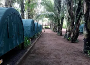 Tegal Dukuh Camp - Chambre
