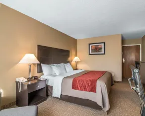 Comfort Inn Saugerties - Room