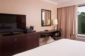 Delta Hotels by Marriott Orlando Lake Buena Vista - Chambre