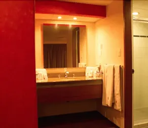 Hotel Montreal - Baño