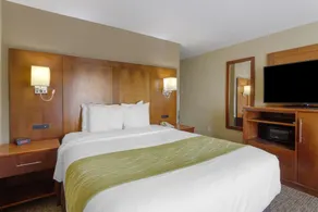 Comfort Inn & Suites Woods Cross - Salt Lake City North - Chambre
