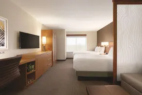 Hyatt Place Niagara Falls - Chambre