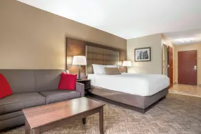 Best Western Gardendale - Chambre