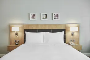 Hilton Garden Inn Dubai, Mall Avenue - Habitación