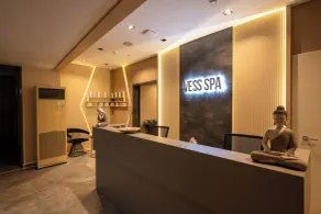Vess Hotel - Réception