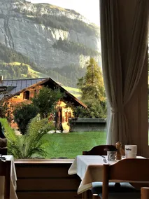 Hotel des Alpes - Restaurant