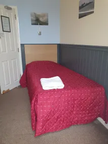 Llwynygog Guest House - Chambre