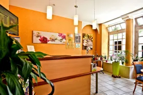 Logis Hôtel de France - Reception