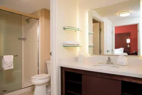 Residence Inn by Marriott Austin - University Area - Badrum